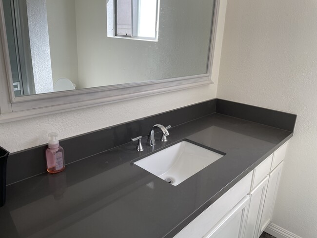 New sink w large mirror - 2321 Pullman Ln