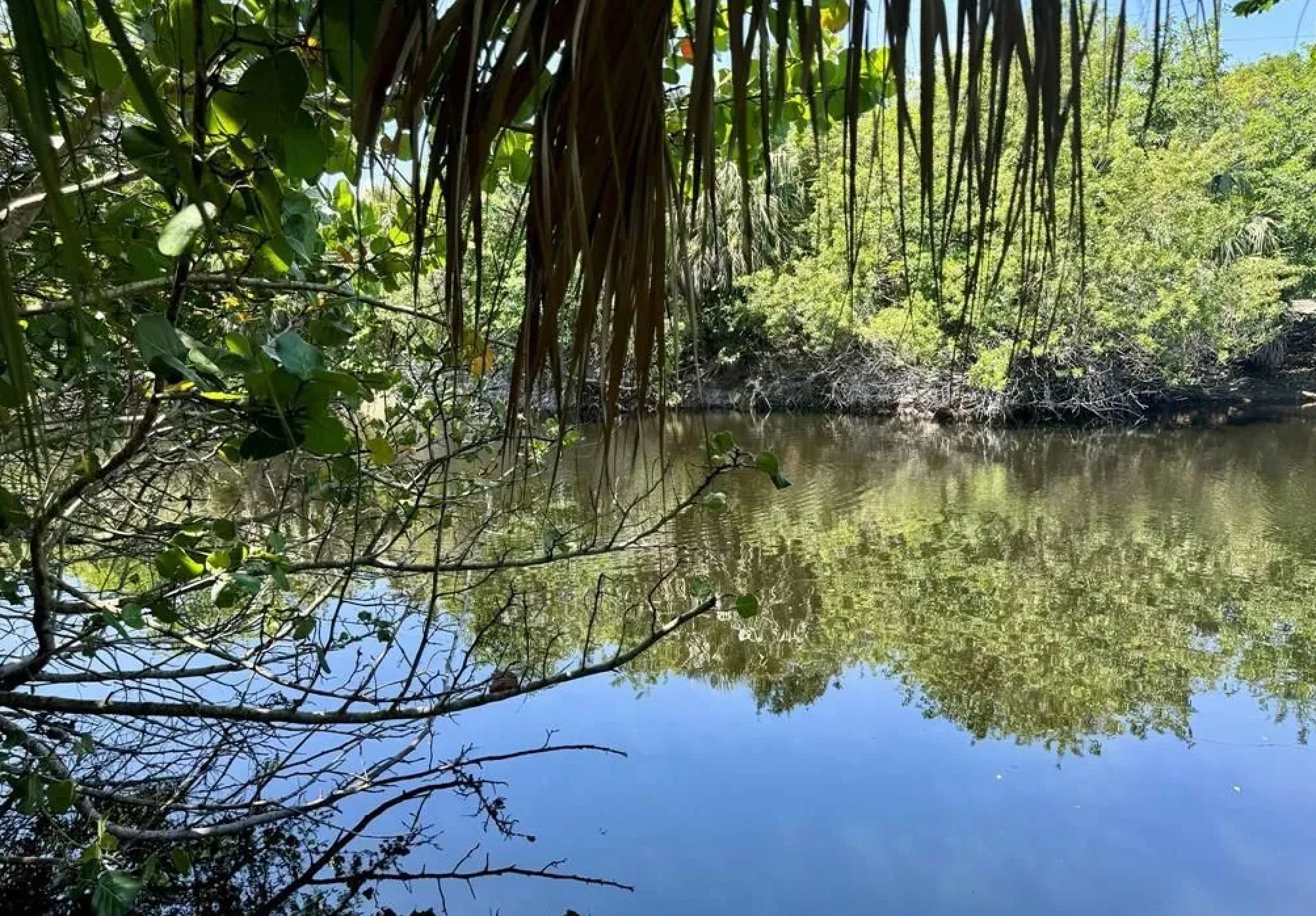 El Rio Canal - 450 NW 20th St