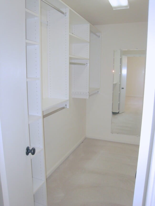 Master Closet - 320 Holloway Road
