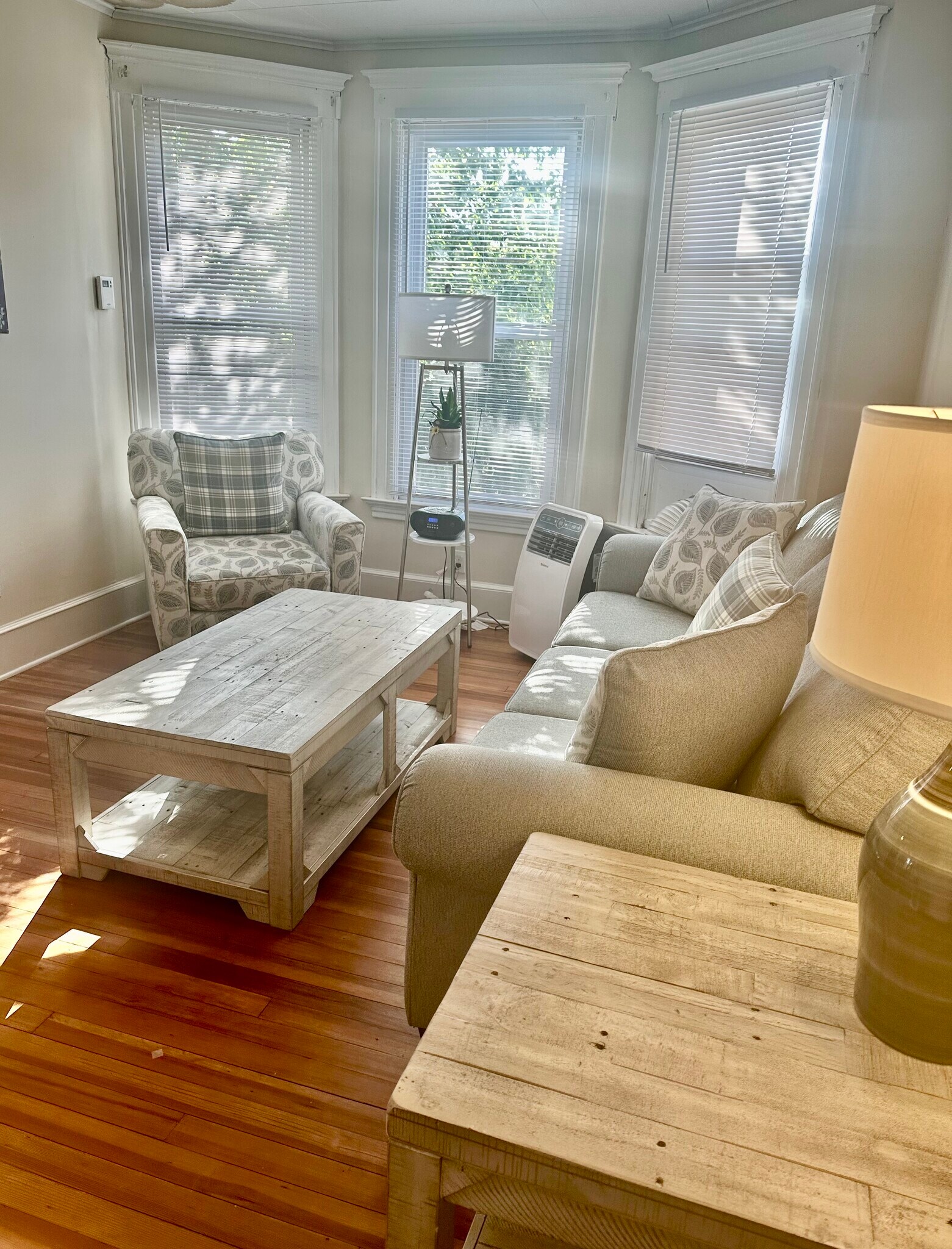 Living Room - 145 Main St
