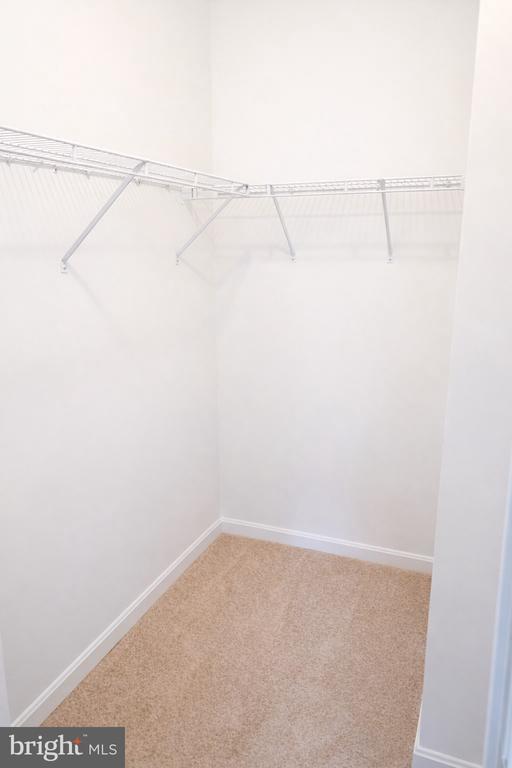 Building Photo - 2605 Chapel Lake Dr