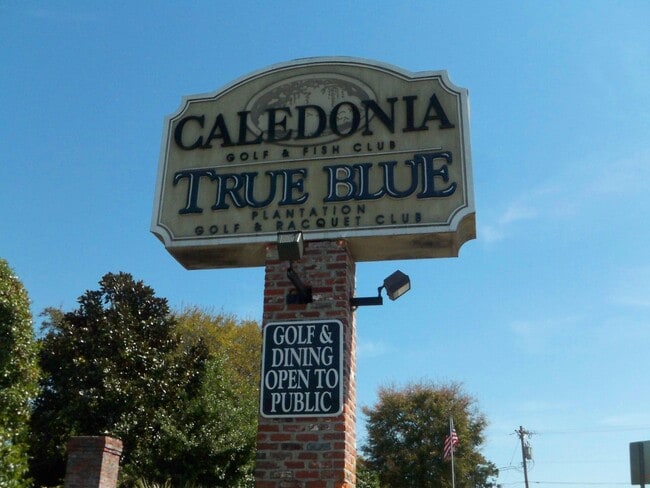 Building Photo - 1123 Blue Stem Dr