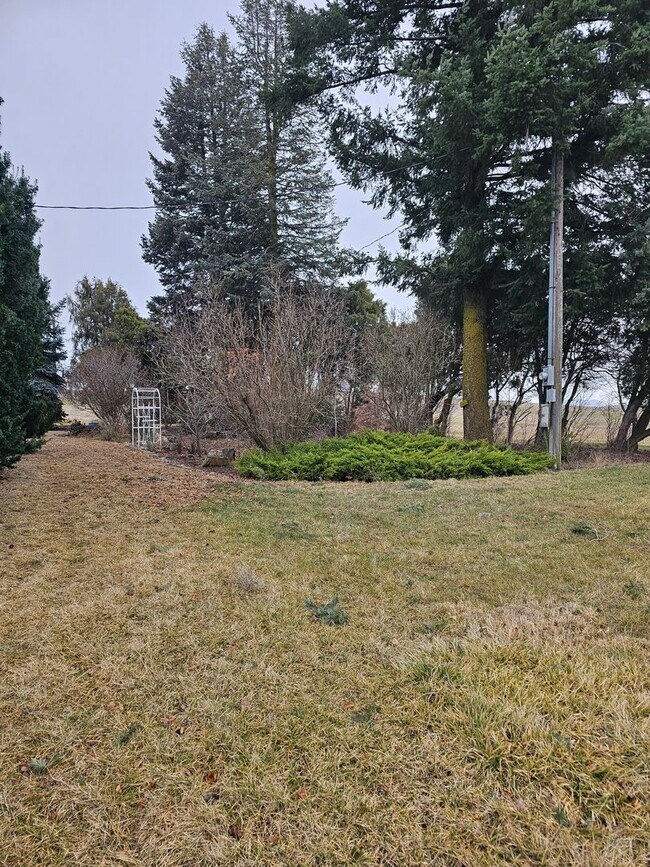 Building Photo - 1101 Stan Wilcox Rd