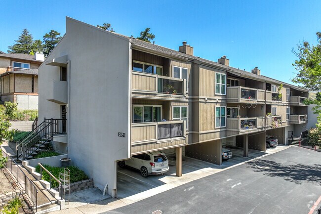 Primary - Moraga Terrace