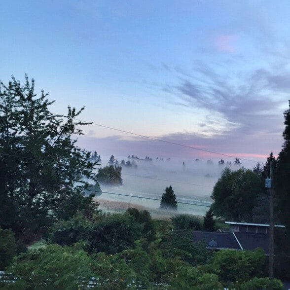 Misty morning - 12830 141st Pl SE