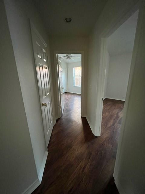 Building Photo - 908 Rocking Spur Cove