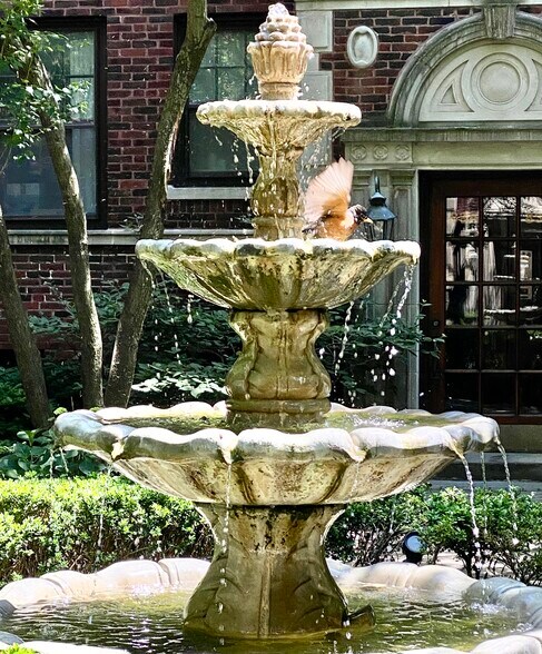 Fountain in the Court - 834 Hinman Ave