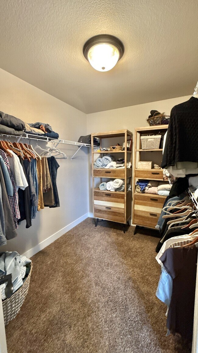 Building Photo - 409 Luminous Dr