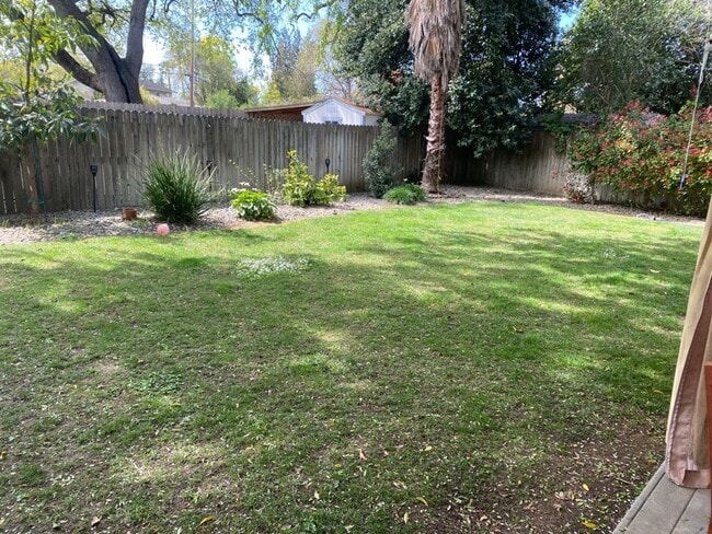 Building Photo - 3 Bedroom 2 Bath Home in Davis