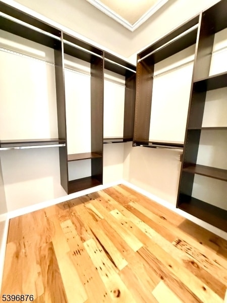 Building Photo - 22 Vaughan Dr