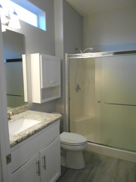 Master bath stall shower - 1379 Forlana Dr