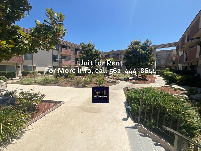 Building Photo - Condo - 1 Bedroom / 1 Bath - Long Beach