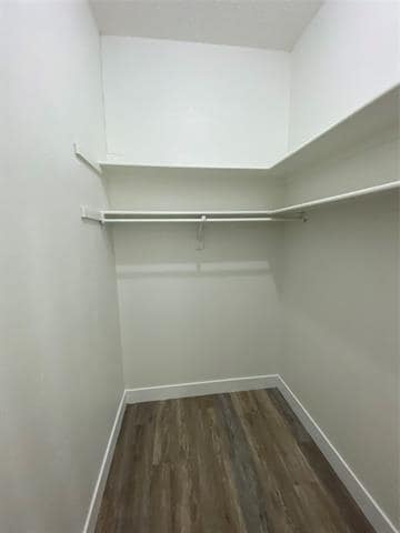 Building Photo - 109 Misty Ct