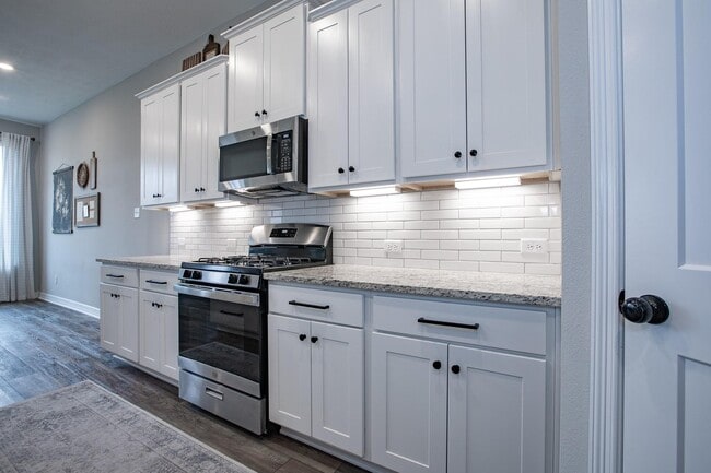 Building Photo - 3036 Cirrus Heights Ct