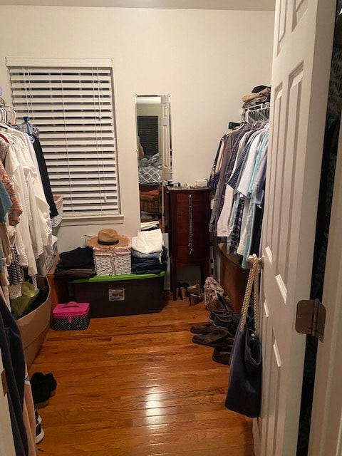 Building Photo - 283 Powell Cir