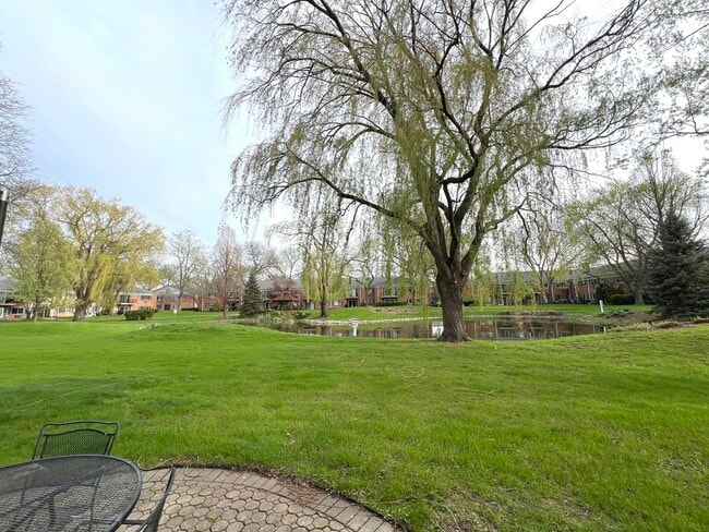 Building Photo - 703 Falcon Dr