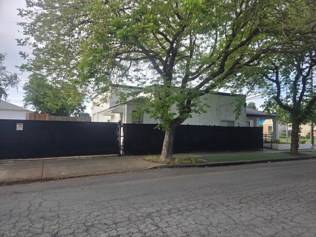 Building Photo - 1203 Buena Vista Ave