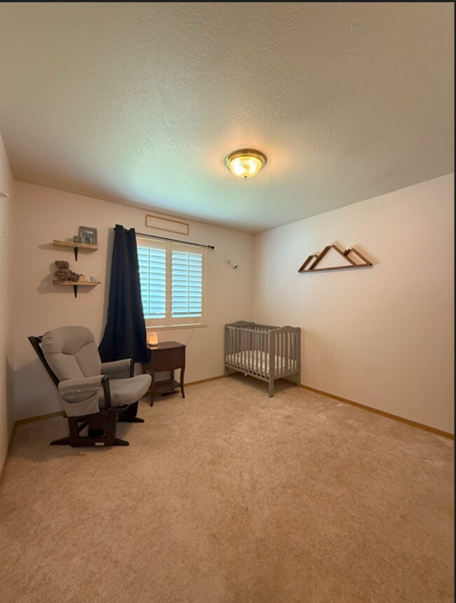 Building Photo - 3 bedroom single family home on large lot