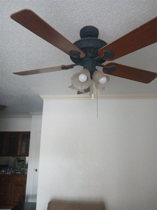 Building Photo - 921 Marine Dr