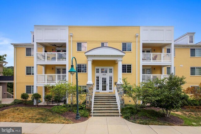 Building Photo - 4113 S Four Mile Run Dr