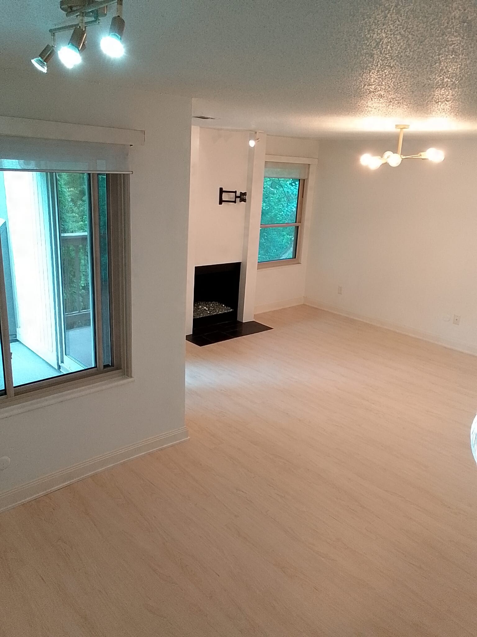 Living Rook - 1446 Cliff Ct