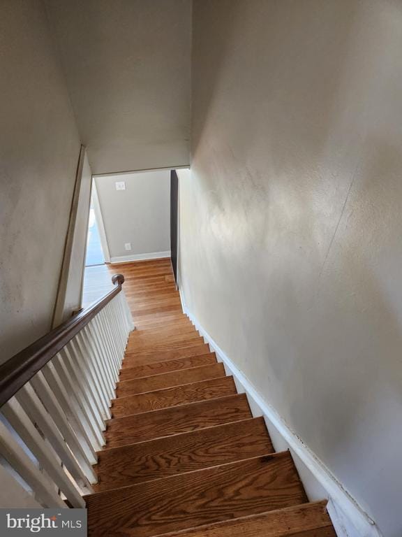 Building Photo - 810 Rundale Ave