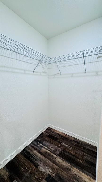 Building Photo - 248 Organ St