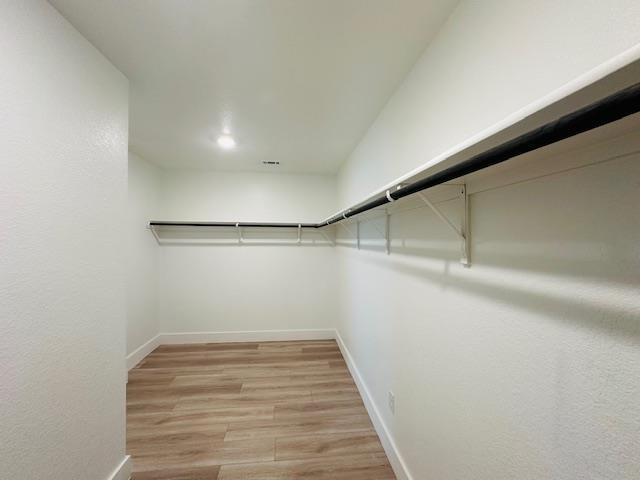 Building Photo - 15113 Siberian Elm Ln
