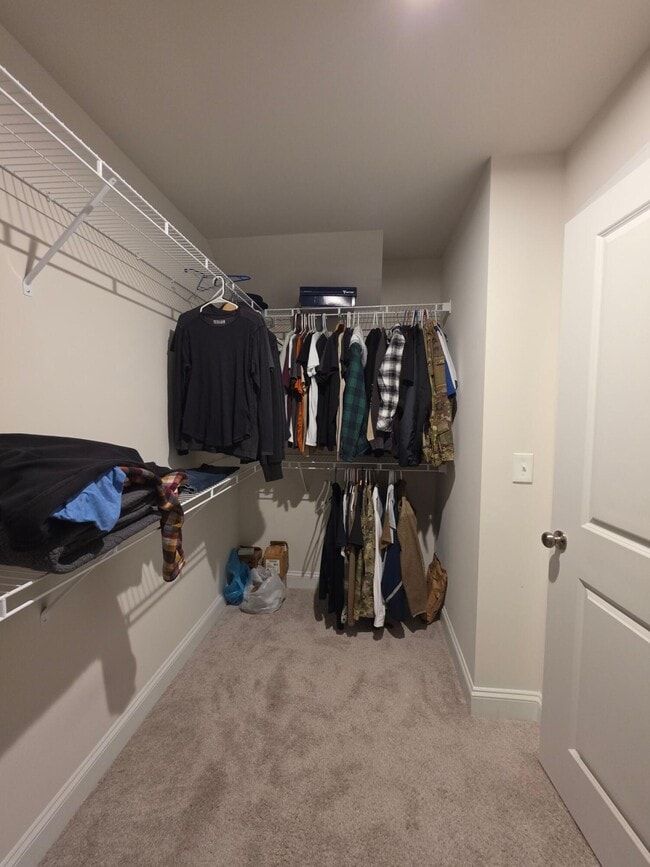 Building Photo - 3360 Rustic Dr