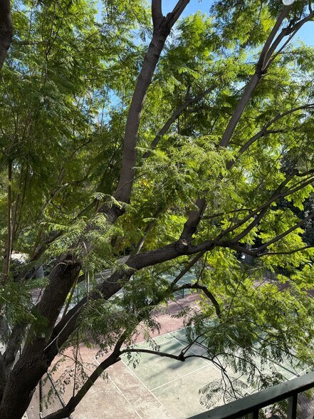 Building Photo - 4141 Via Marisol