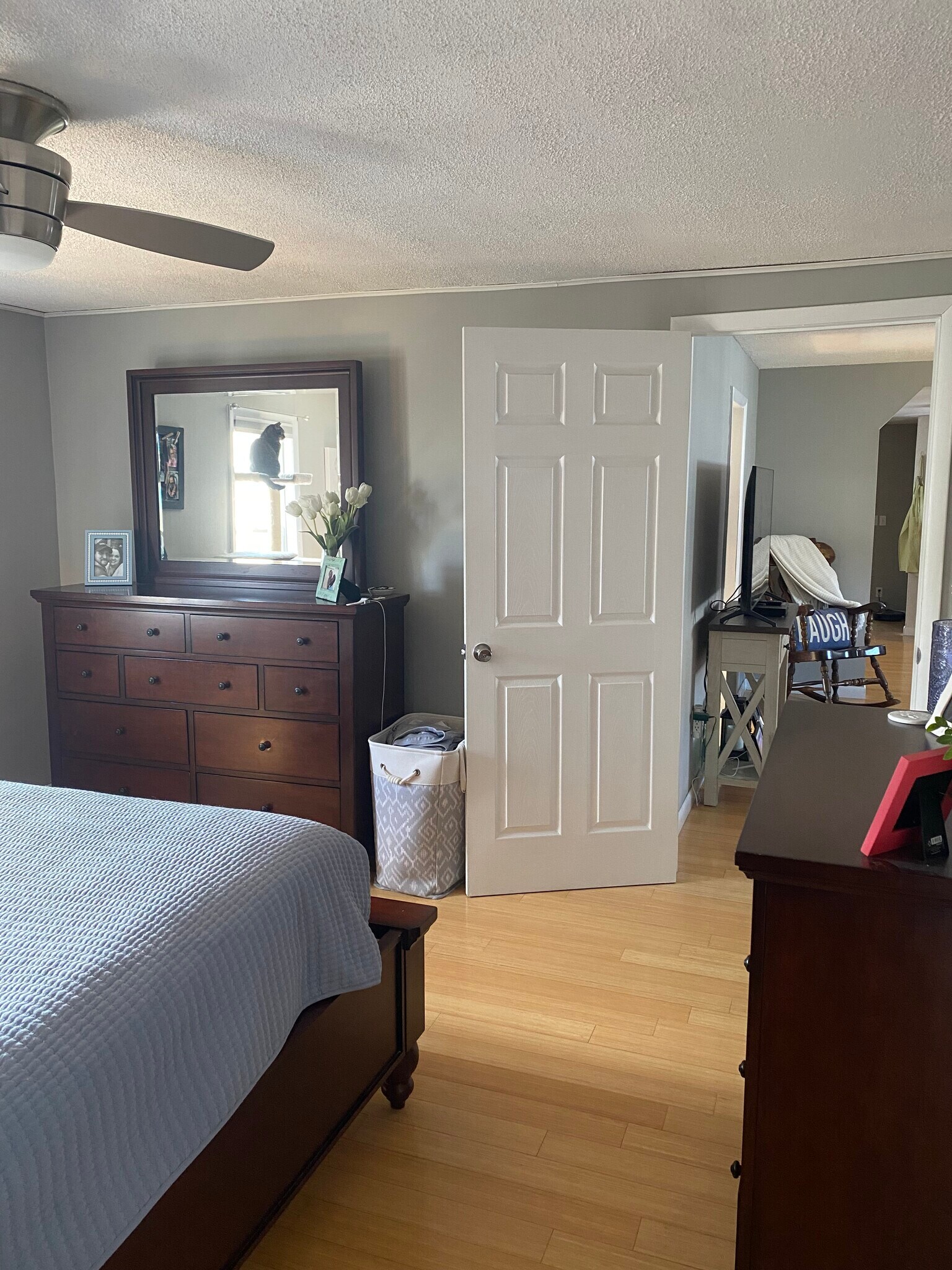 Building Photo - 1294 Vestal Ave