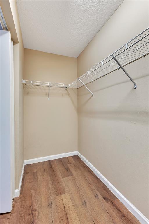 Building Photo - 1172 Chelsea Dr