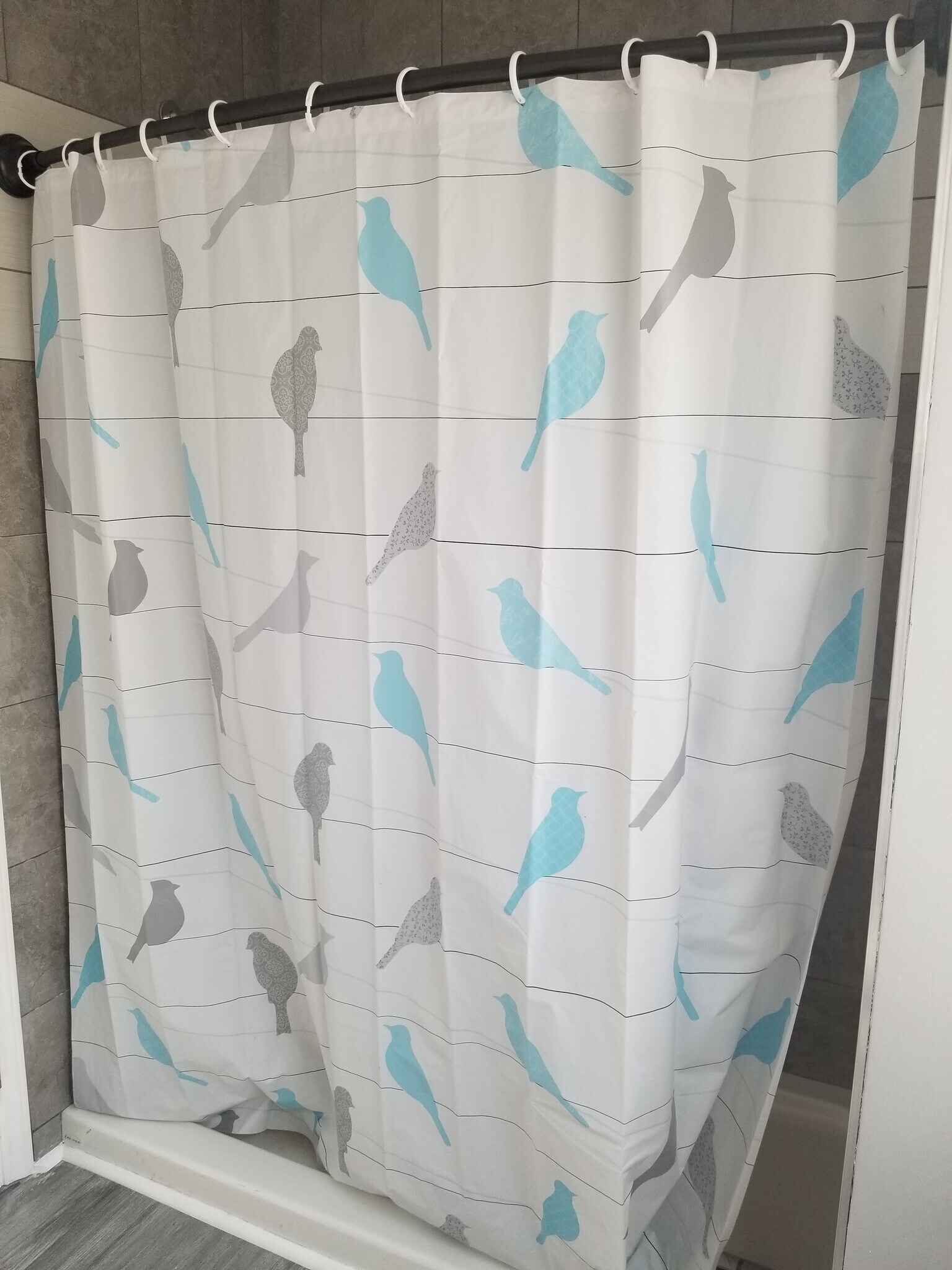 shower in hall bathroom - 15 Motor Rd