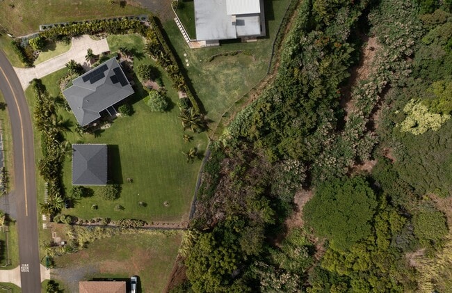 Building Photo - Elevated Haiku Retreat with Ocean Views, Designer Finishes & a Lush Edible Garden Sanctuary