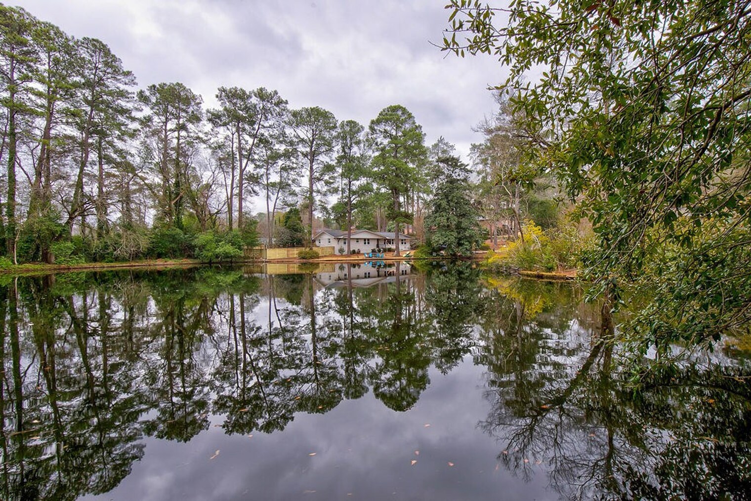 Building Photo - 3148 Travis Ct