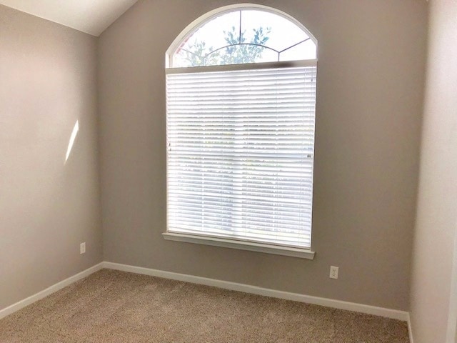 Building Photo - Limited-Time Move-in Specials - Plantation Estates