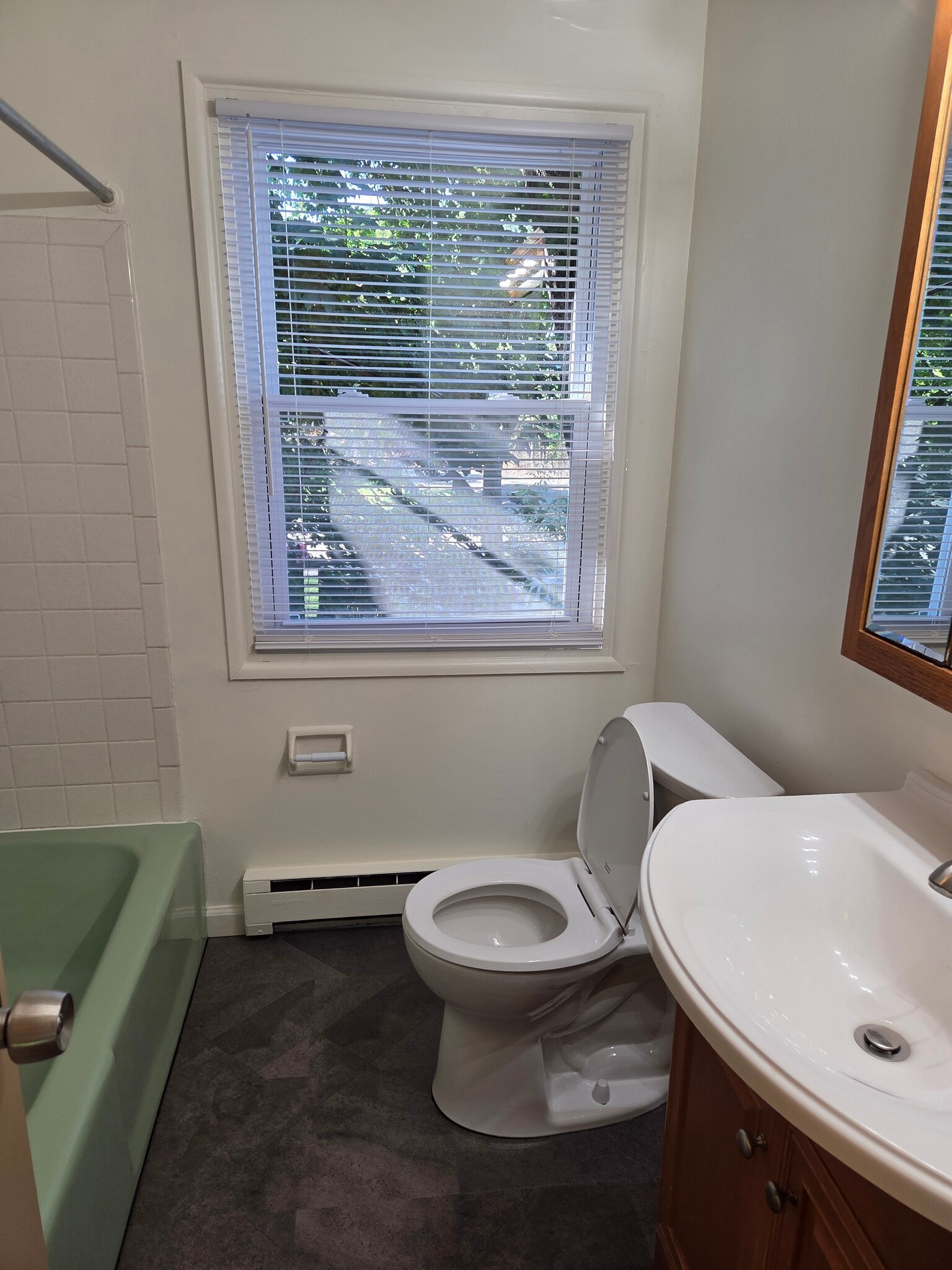 New gray laminate flooring in the bathroom. - 102 Stonecrest