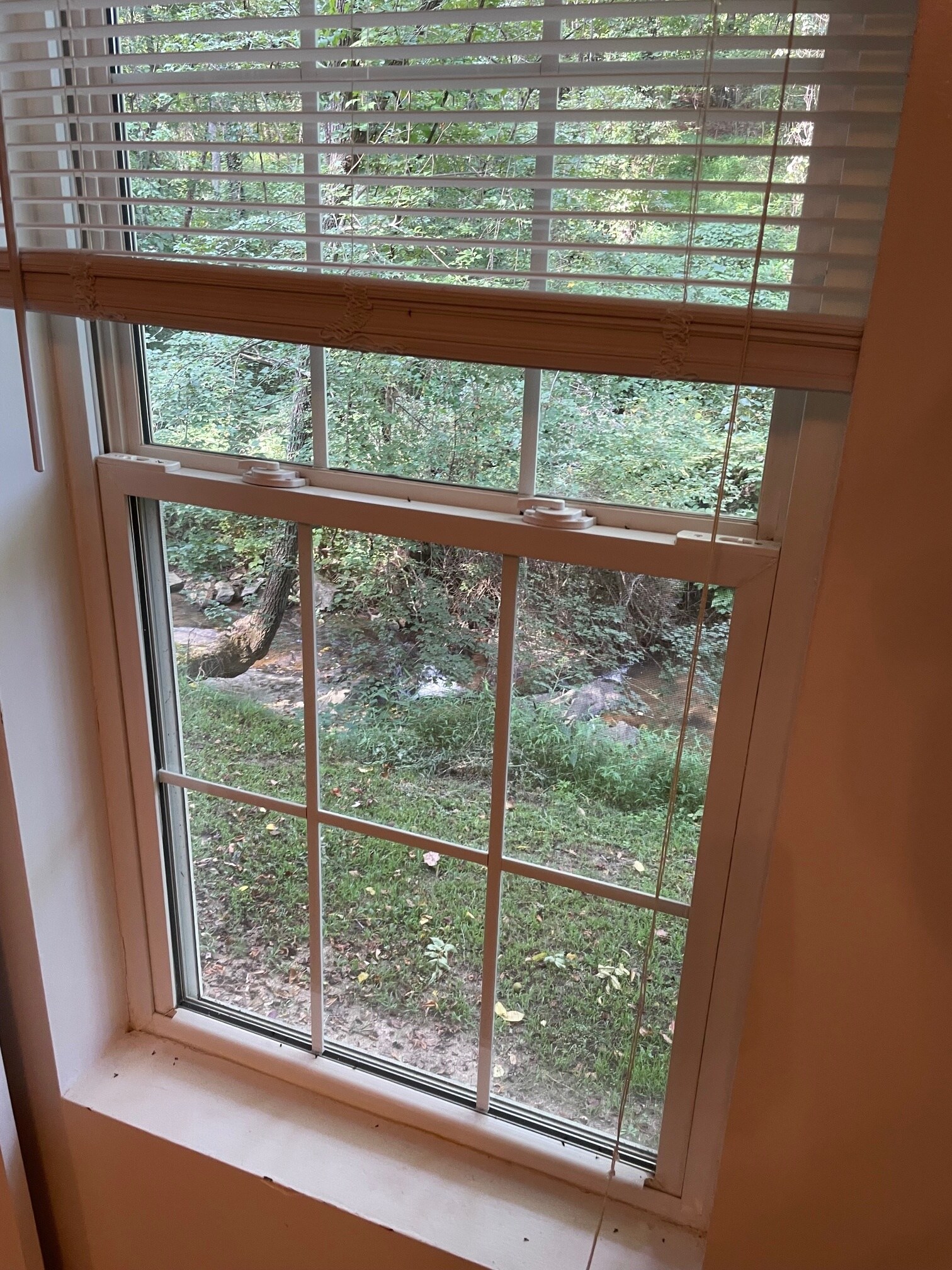 Creekside Bedroom Window - 222 New Stock Rd