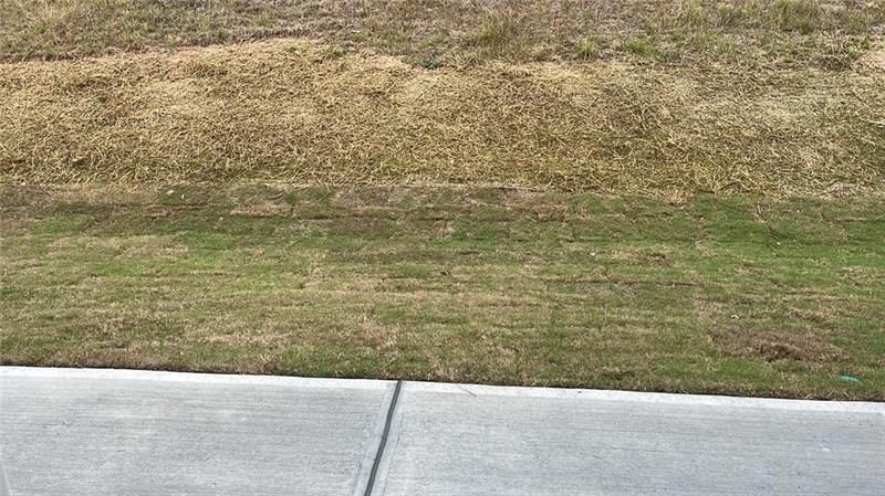 Building Photo - 109 Vision St