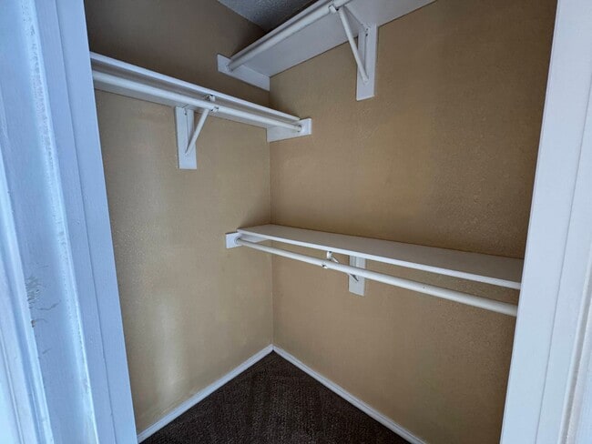 Building Photo - 3606 Rainforest Ln