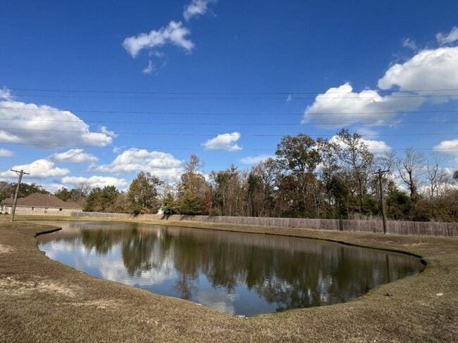 Building Photo - Partially Furnished Home on Sterling Oaks Dr. with Premium Features