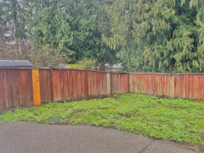 Building Photo - Enormous 4 Bed 2.5Bath + Bonus Room Great Lacey Neighborhood