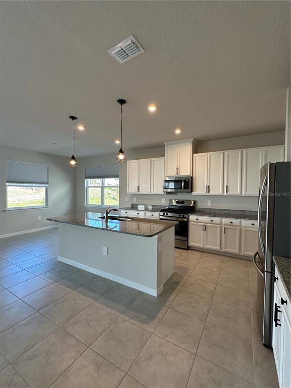 Building Photo - 3785 Blue Mountain Wy