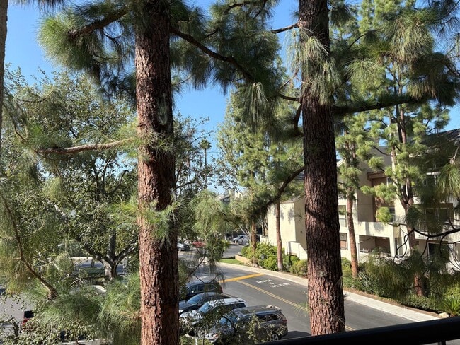 Building Photo - 1 Bedroom Resort Style Living at THE MET! ...