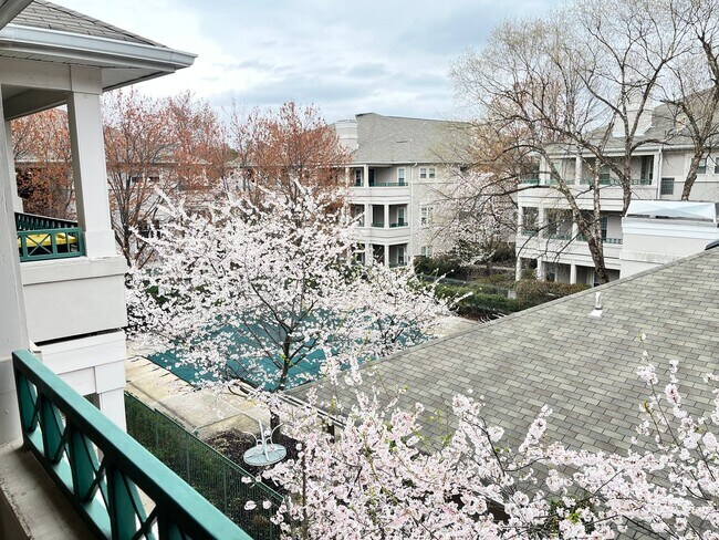 Building Photo - Beautiful 2 bed/2 bath condo in Reston...walk to RESTON TOWN CENTER!!