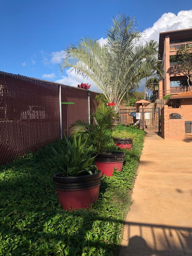 Building Photo - Lahaina Condo W/ Pool