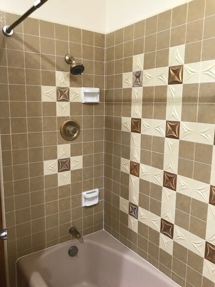 Bathroom shower - 374 Carroll Park E