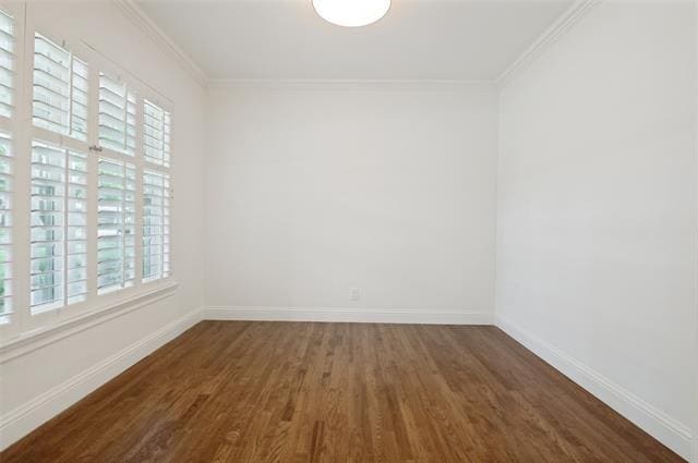 Building Photo - 705 Tarryall Dr