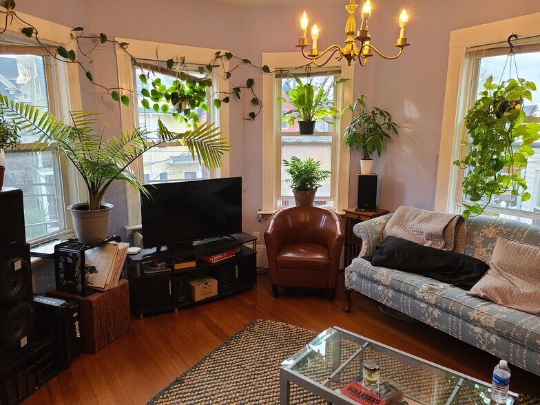 Building Photo - 95 Belmont St