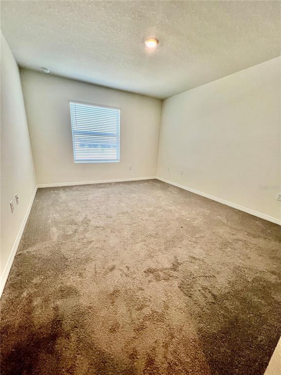 Building Photo - 32557 Turtle Grace Lp